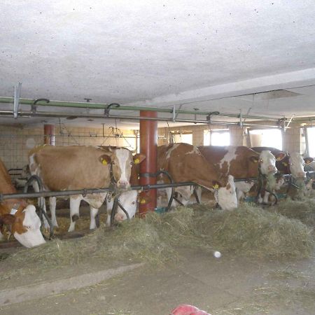Apartments In Bruck Am Ziller/Zillertal 857 Grosshartberg ภายนอก รูปภาพ